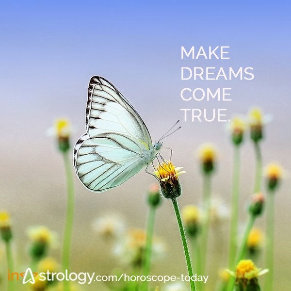 Instrology Quotes - Make dreams come true